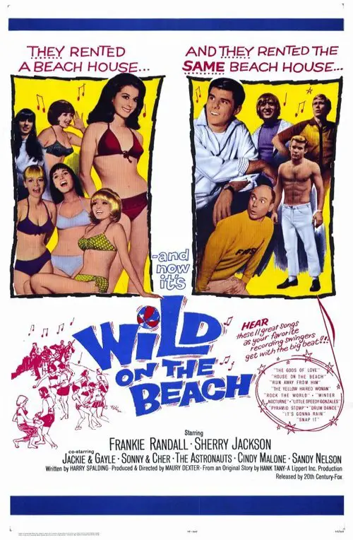 Nudist Swinger Beach Party - What is my movie? - Item