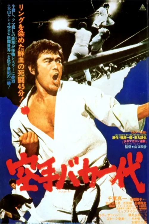 the karate kid 1984 full movie megavideo