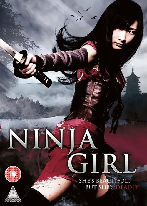 Cheesy Ninja movie from 80's..  Ninja movies, Shadow warrior, Movie posters